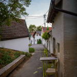 Vínna ulička / Galgenberg, 2019
