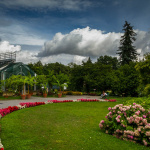 Botanická záhrada / Krakov, 2019