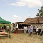 Strekovský festival vína (2013)